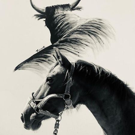 Gites Equestres Lou Caloun - Les Saintes Maries De La Mer Εξωτερικό φωτογραφία
