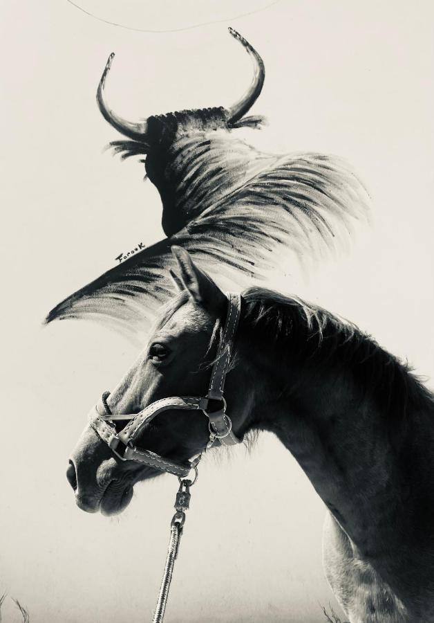 Gites Equestres Lou Caloun - Les Saintes Maries De La Mer Εξωτερικό φωτογραφία