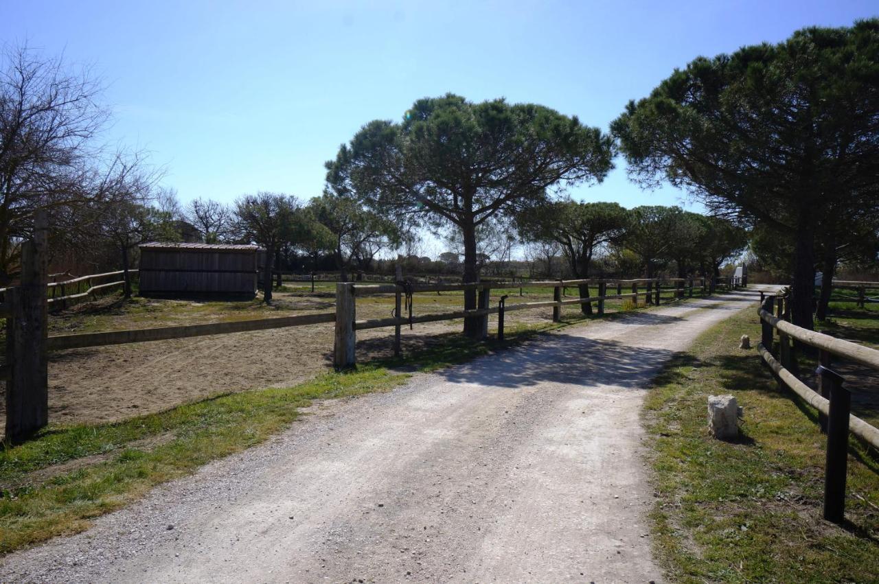 Gites Equestres Lou Caloun - Les Saintes Maries De La Mer Εξωτερικό φωτογραφία