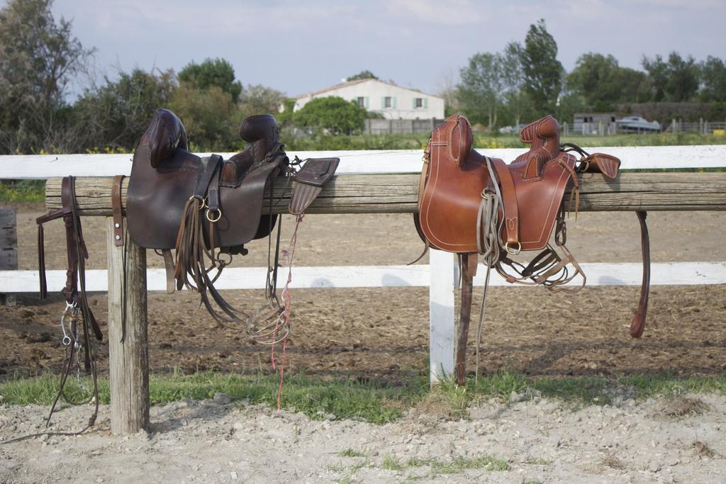 Gites Equestres Lou Caloun - Les Saintes Maries De La Mer Εξωτερικό φωτογραφία